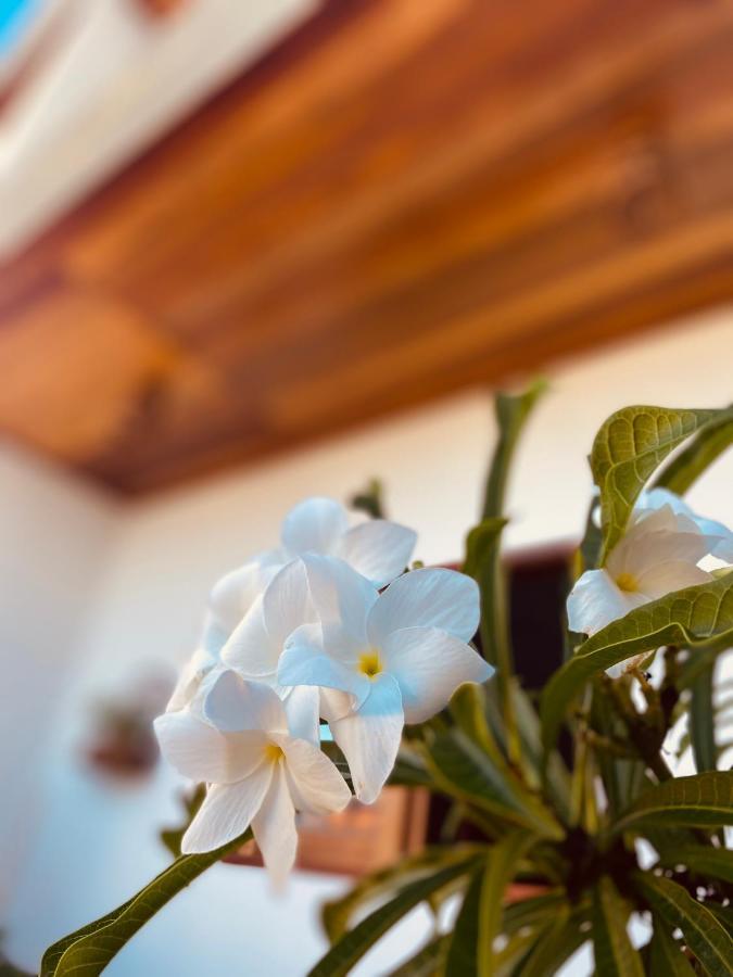 Beach Eco Stays Hotel Boutique Lagoinha Paraipaba Εξωτερικό φωτογραφία